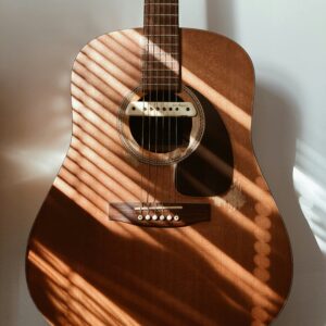 Martin D20